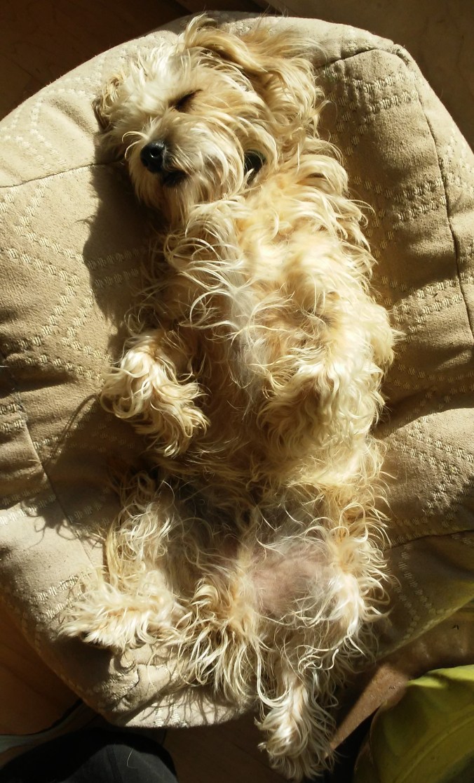 Banks on his back (2)