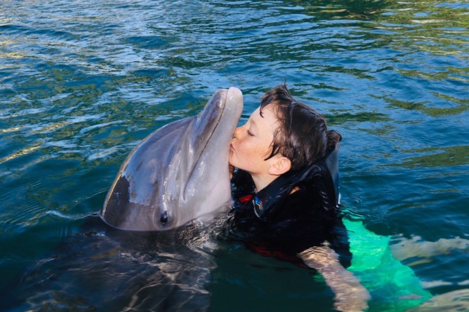 dolphin and Jean Pierre