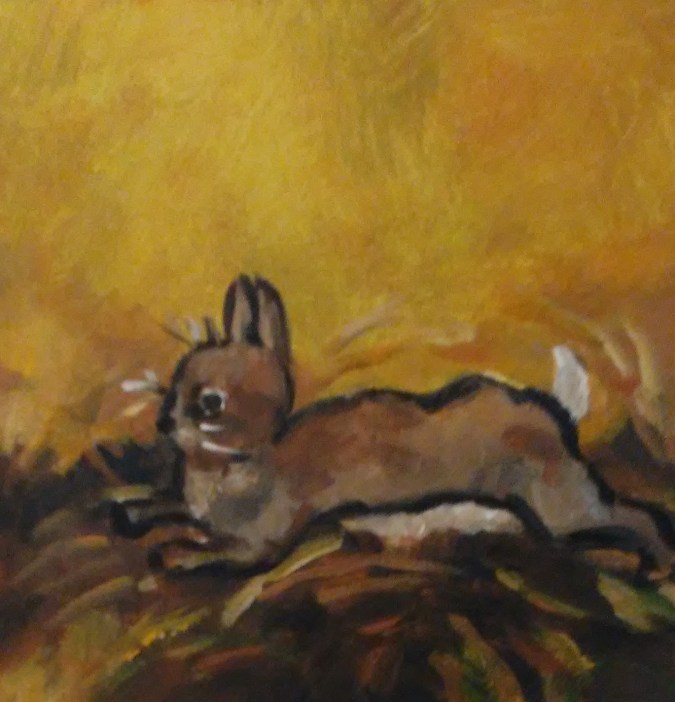 rabbit (2)
